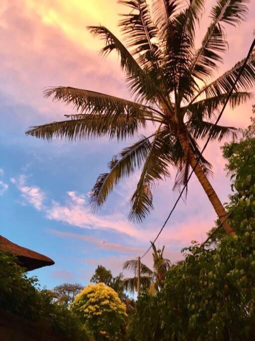 Villa Jalun スミニャック エクステリア 写真